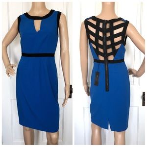 Brand New Royal Blue Casual Dress BCBGMaxAzria